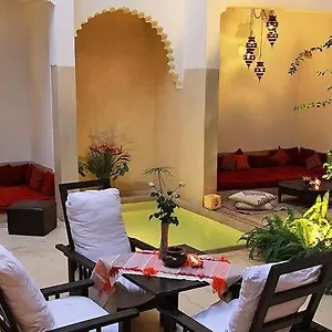 Davia Morocco
